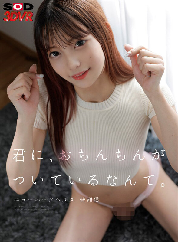画像 1枚目